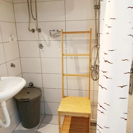 Urban Garden - Sunflower *