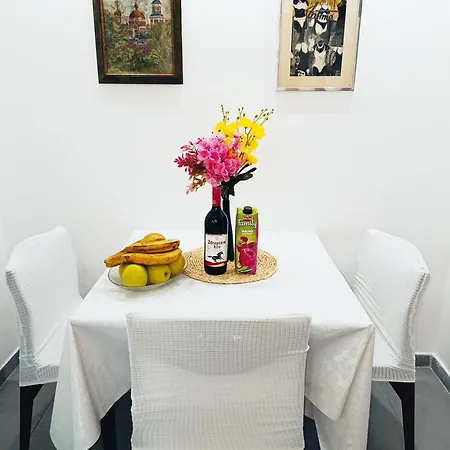 Urban Garden - Sunflower Belgrad