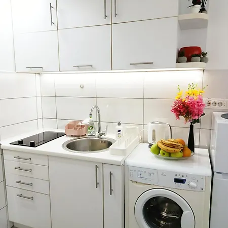 Urban Garden - Sunflower * Belgrad