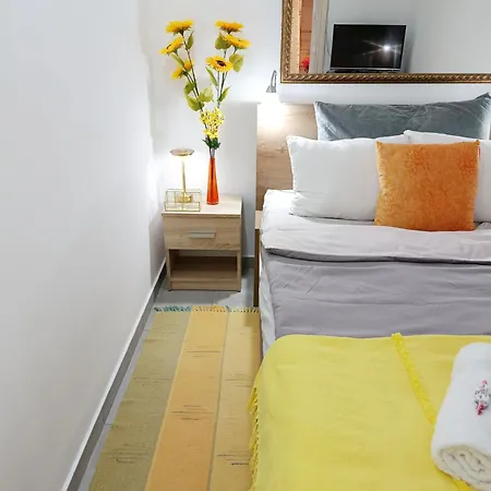 Apartment Urban Garden - Sunflower